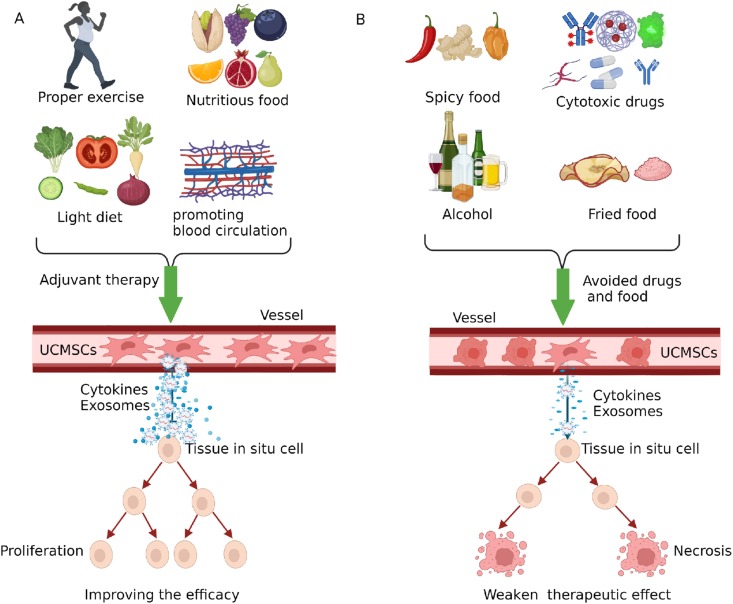 圖3：臍帶間充質干細胞治療期間應避免輔助療法、藥物及食物。