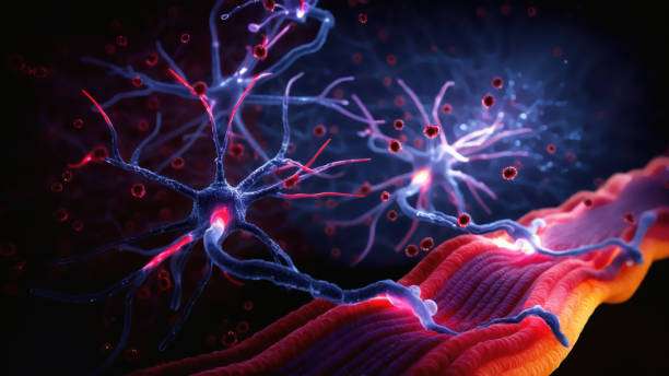 面對(duì)眾說紛紜的干細(xì)胞治療帕金森病，我們的期望是什么？