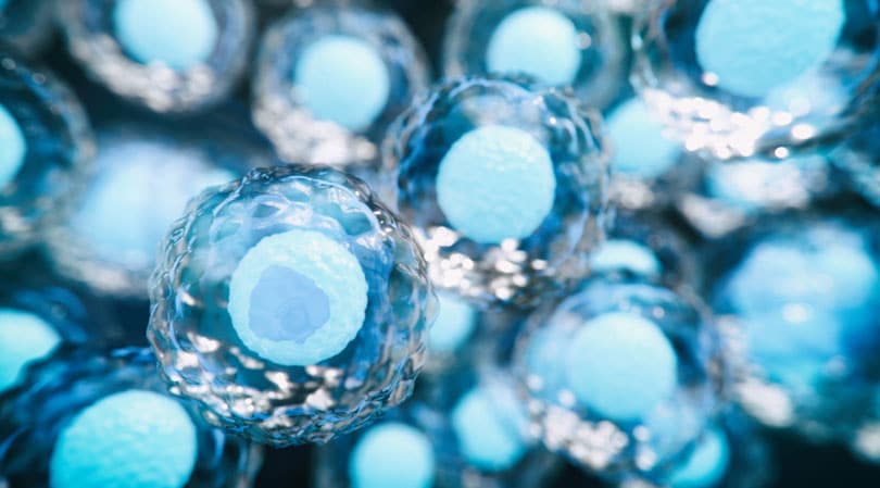 自體干細(xì)胞與異體干細(xì)胞治療糖尿病有哪些差異? 自體干細(xì)胞與異體干細(xì)胞治療糖尿病有哪些差異?