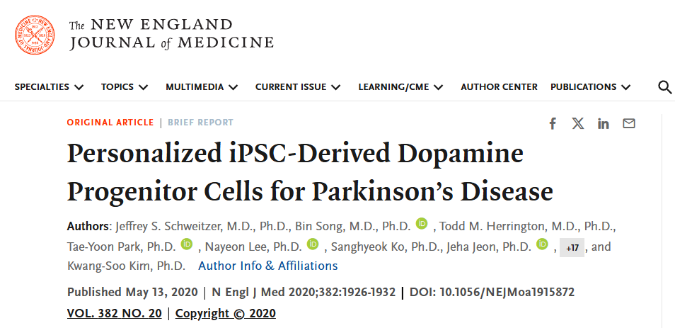 個性化 iPSC 衍生的多巴胺祖細胞用于治療帕金森病