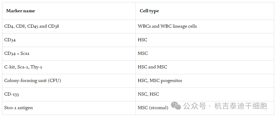 表2：用于識別基本干細胞類型的細胞表面標記。
