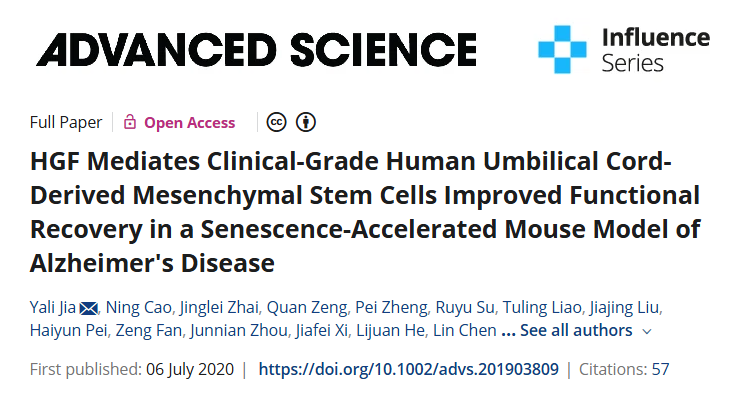 HGF 介導臨床級人臍帶間充質(zhì)干細胞改善阿爾茨海默病衰老加速小鼠模型的功能恢復 HGF 介導臨床級人臍帶間充質(zhì)干細胞改善阿爾茨海默病衰老加速小鼠模型的功能恢復