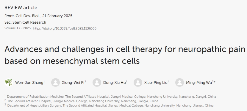基于間充質干細胞的神經性疼痛細胞治療進展與挑戰