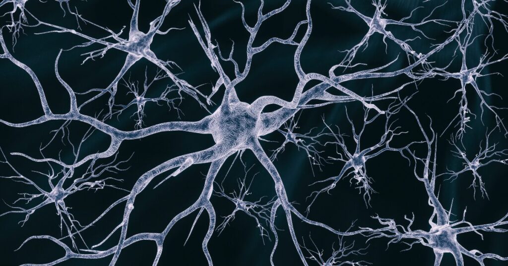 神經(jīng)干細(xì)胞移植在神經(jīng)退行性疾病治療和藥物開發(fā)中的作用