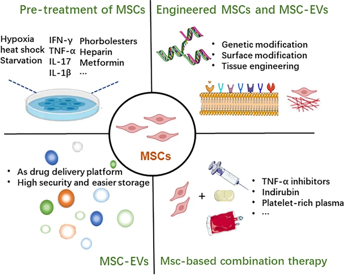 圖3：增強間充質干細胞治療效果的方法。