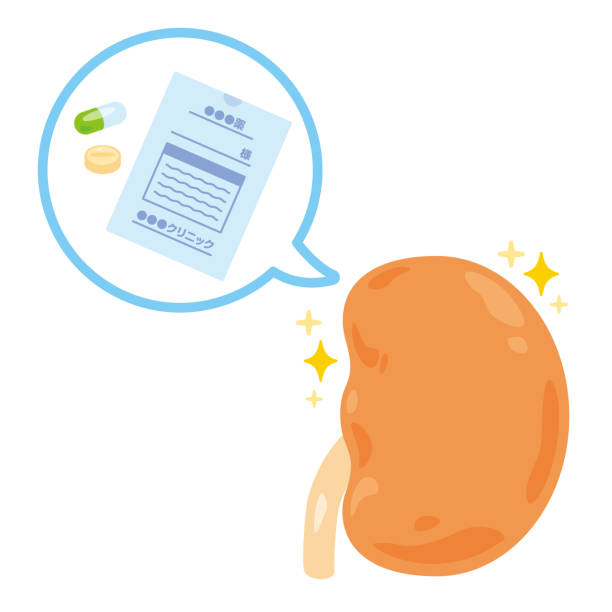 干細胞治療晚期腎病：修復無望還是緩解轉機？