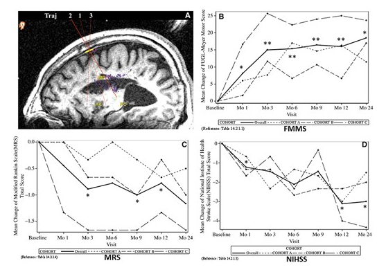 24 個月隨訪的臨床結果