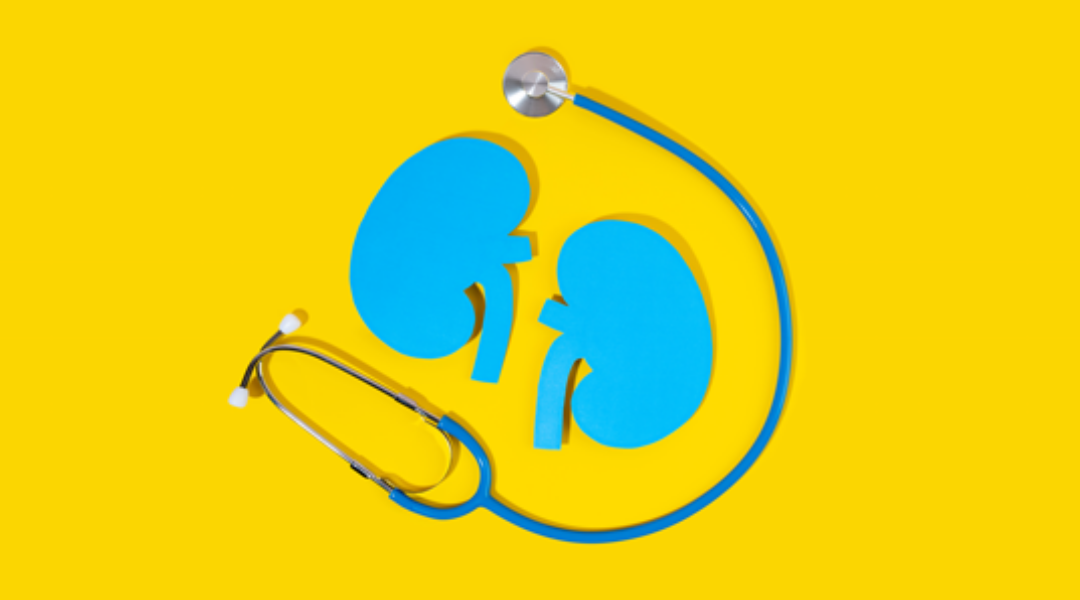 干細胞治療腎病：基因、年齡與疾病類型如何共同決定療效？