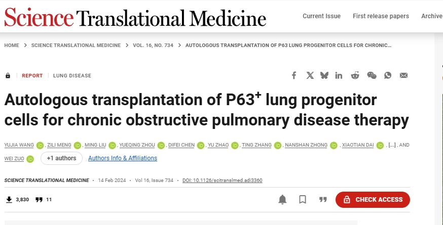 自體P63+肺祖細(xì)胞移植治療慢性阻塞性肺病