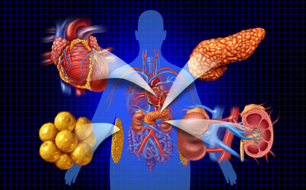 新視角：優化間充質干細胞治療糖尿病腎病療效的方式有哪些？
