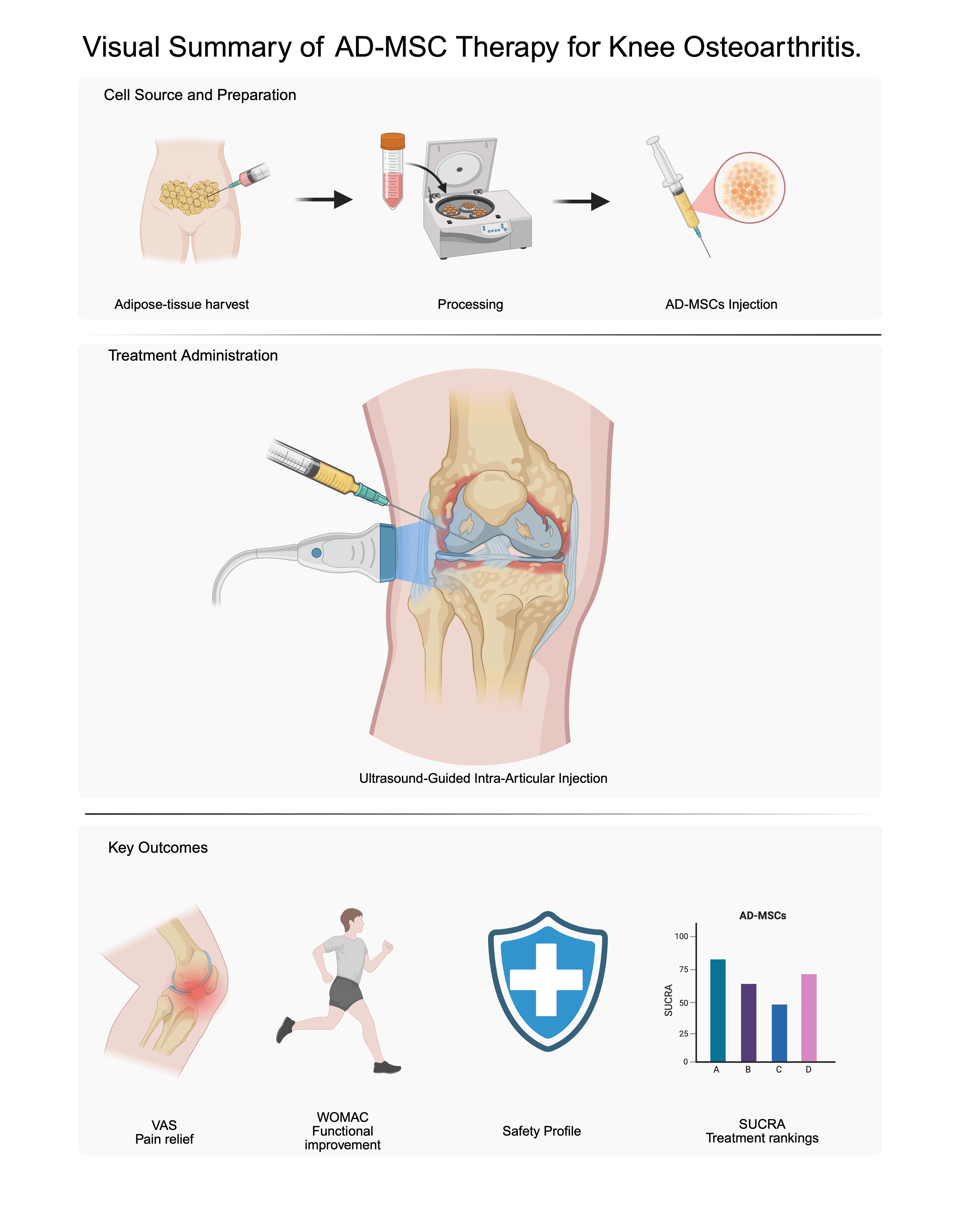 圖1：脂肪間充質干細胞治療膝骨關節炎的概述