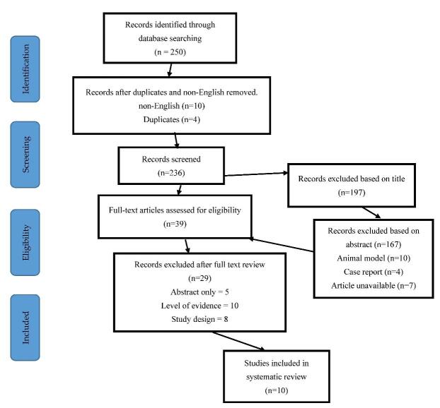 圖1：研究識別和選擇的流程圖-PRISMA圖（PRISMA，系統評價和薈萃分析的首選報告項目）。