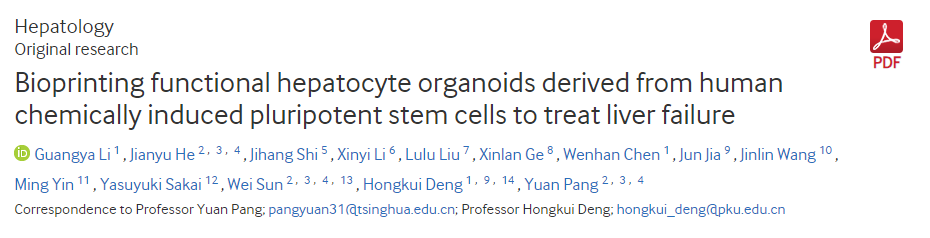生物打印源自人類化學誘導多能干細胞的功能性肝細胞類器官以治療肝功能衰竭