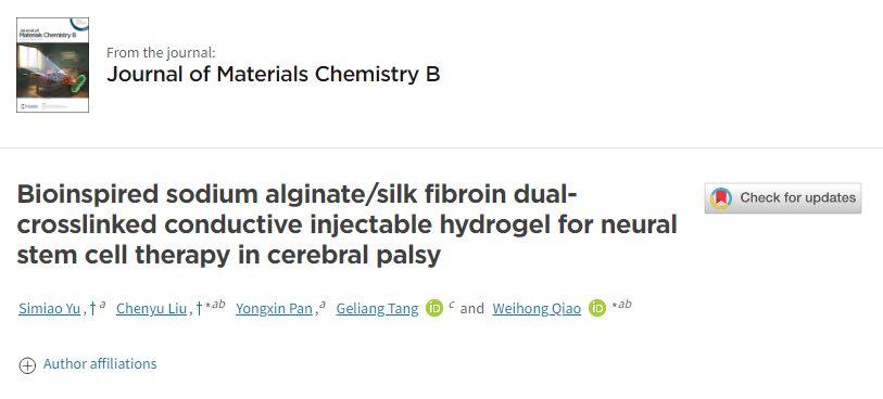 用于腦癱神經(jīng)干細(xì)胞治療的仿生海藻酸鈉/絲素蛋白雙交聯(lián)導(dǎo)電注射水凝膠 用于腦癱神經(jīng)干細(xì)胞治療的仿生海藻酸鈉/絲素蛋白雙交聯(lián)導(dǎo)電注射水凝膠