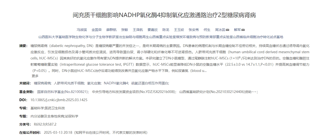 間充質(zhì)干細(xì)胞影響NADHP氧化酶4抑制氧化應(yīng)激通路治療2型糖尿病腎病