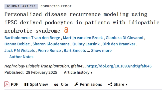 使用 iPSC 衍生的足細(xì)胞對(duì)特發(fā)性腎病綜合征患者進(jìn)行個(gè)性化疾病復(fù)發(fā)建模
