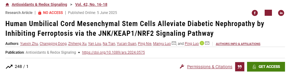 人臍帶間充質(zhì)干細(xì)胞通過(guò)JNK/KEAP1/NRF2信號(hào)通路抑制鐵死亡緩解糖尿病腎病