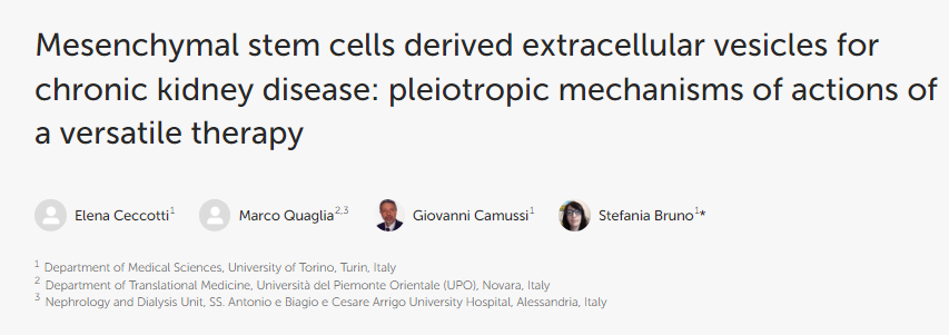 間充質(zhì)干細(xì)胞衍生的細(xì)胞外囊泡用于治療慢性腎臟病:多功能療法的多效作用機(jī)制 間充質(zhì)干細(xì)胞衍生的細(xì)胞外囊泡用于治療慢性腎臟病:多功能療法的多效作用機(jī)制