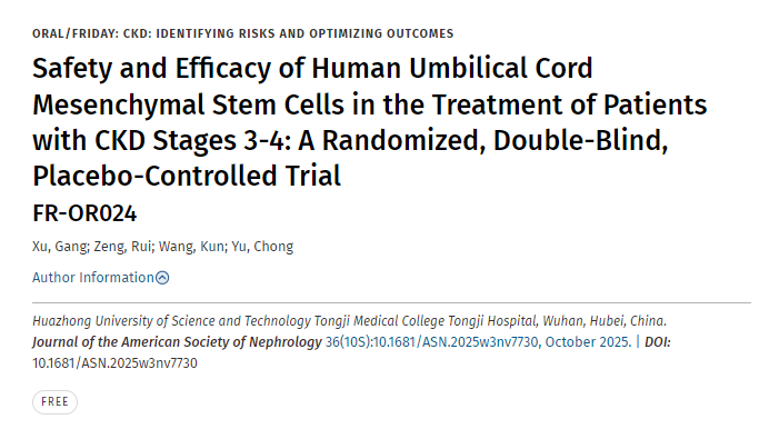 人臍帶間充質(zhì)干細(xì)胞治療慢性腎病3-4期患者的安全性和有效性:一項(xiàng)隨機(jī)、雙盲、安慰劑對(duì)照試驗(yàn) 人臍帶間充質(zhì)干細(xì)胞治療慢性腎病3-4期患者的安全性和有效性:一項(xiàng)隨機(jī)、雙盲、安慰劑對(duì)照試驗(yàn)