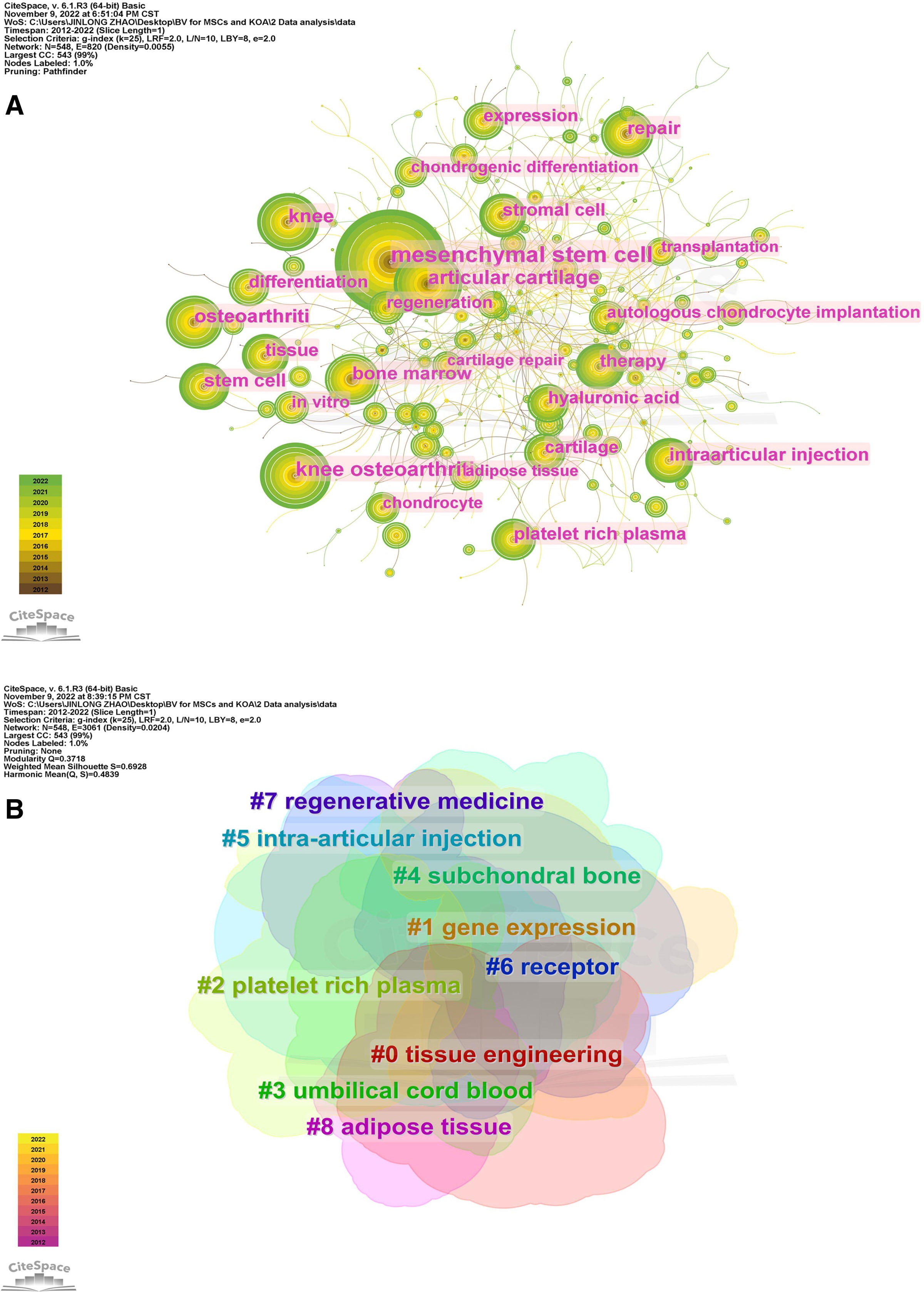 圖5：CiteSpace可視化MSCs與KOA研究的關鍵詞。（B）關鍵詞聚類分析。