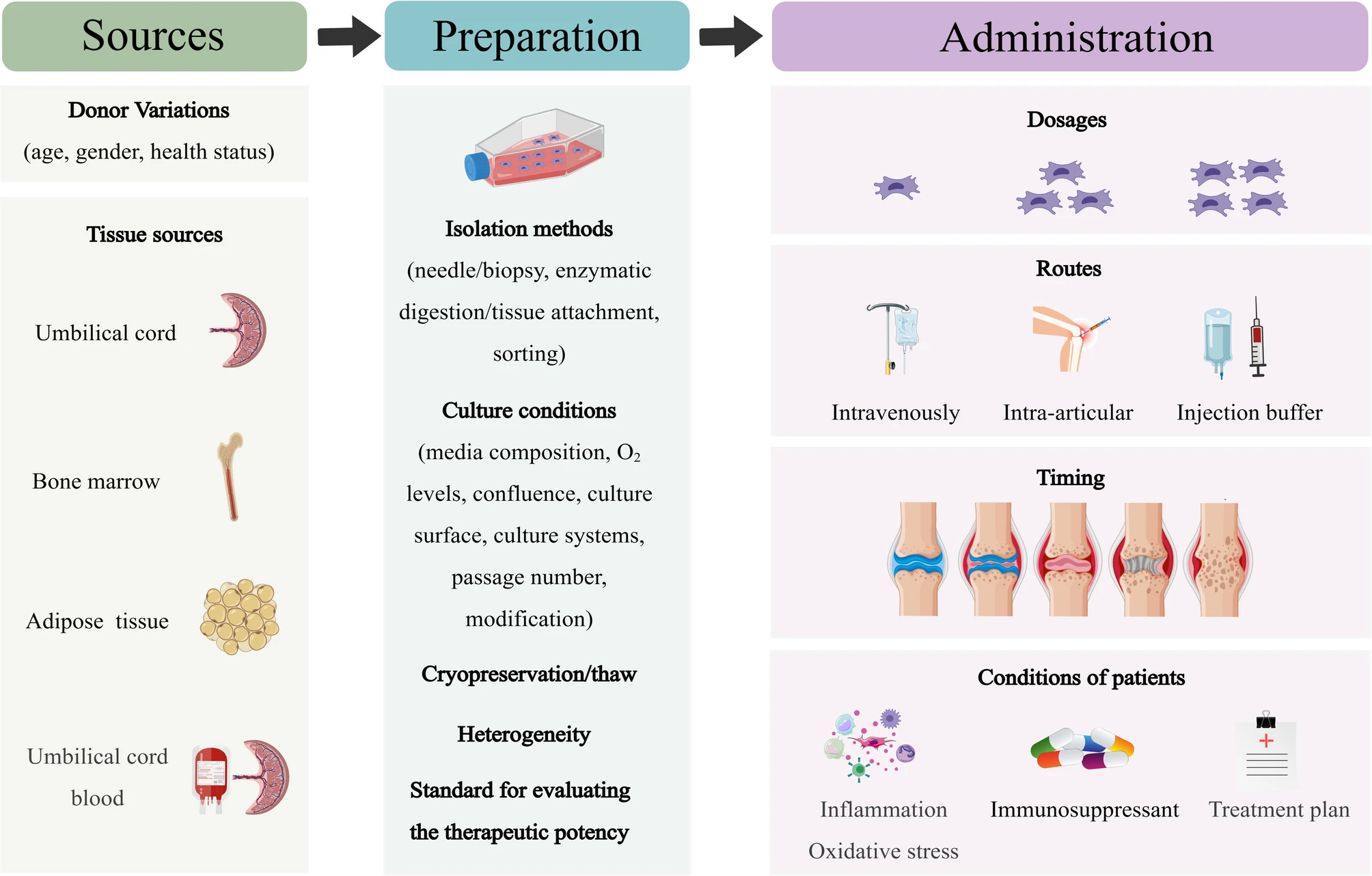 圖6：MSCs在類風(fēng)濕性關(guān)節(jié)炎的臨床應(yīng)用中，需要精確地標(biāo)準(zhǔn)化參數(shù)。
