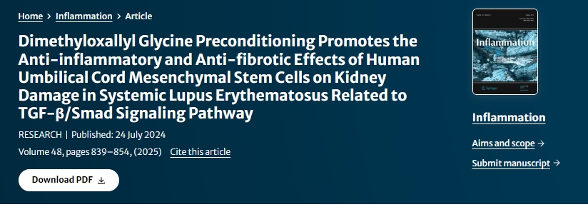 二甲基草酰甘氨酸預(yù)處理促進(jìn)人臍帶間充質(zhì)干細(xì)胞對系統(tǒng)性紅斑狼瘡腎臟損傷的抗炎和抗纖維化作用與TGF-β/Smad信號通路相關(guān)