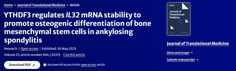 YTHDF3調節IL32?mRNA穩定性促進強直性脊柱炎骨髓間充質干細胞成骨分化