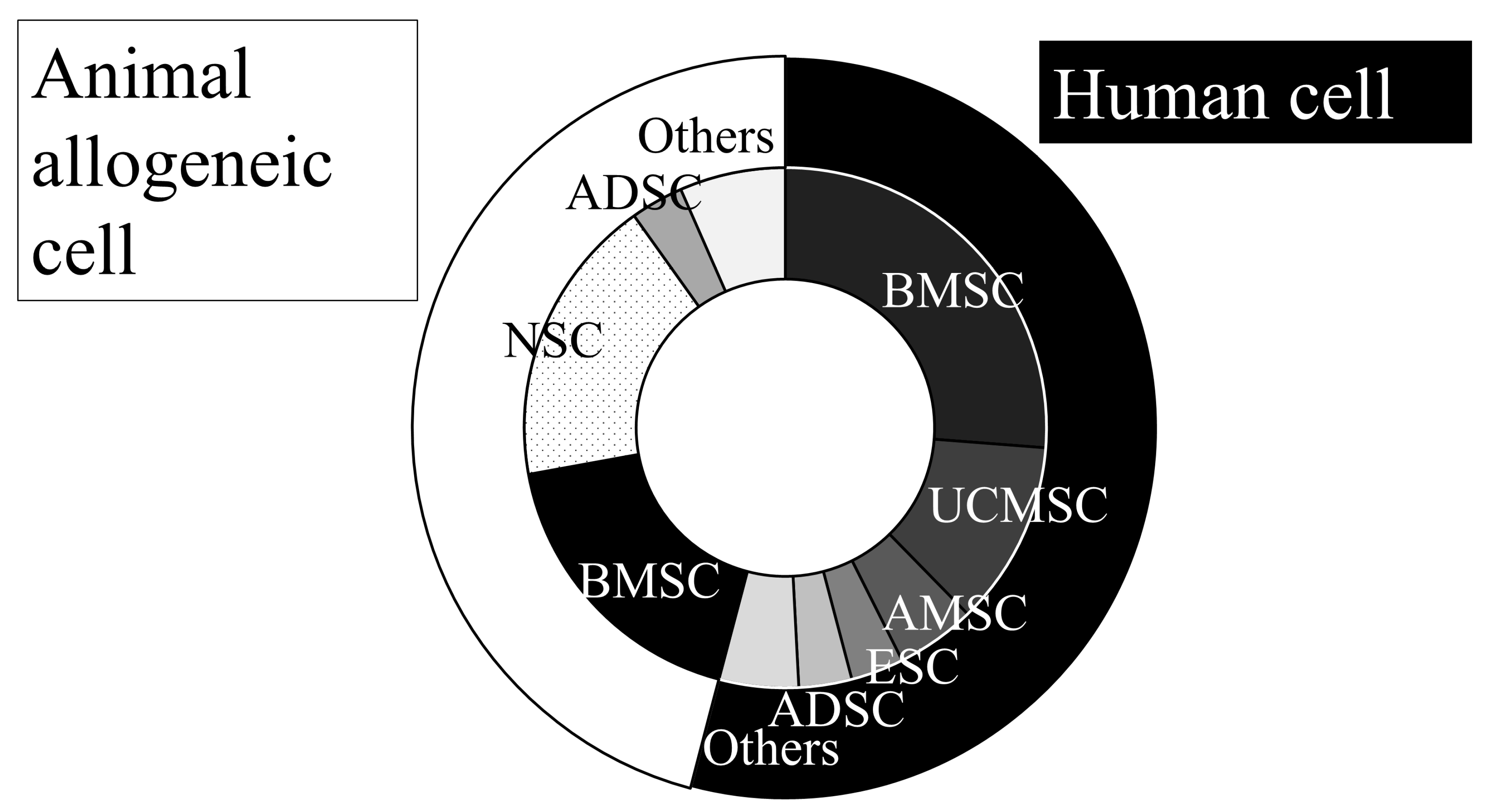 圖1：動脈內移植動物實驗所用的細胞來源。