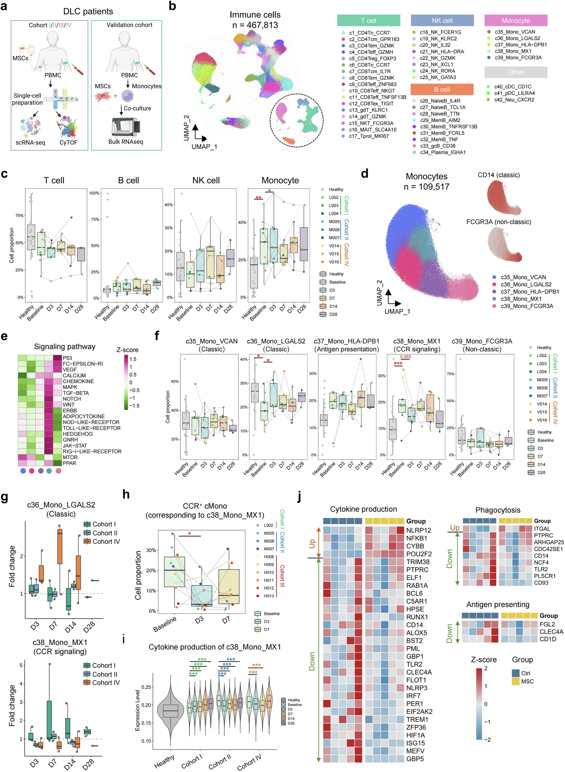 圖3：MSC治療下DLC患者的動態單細胞景觀