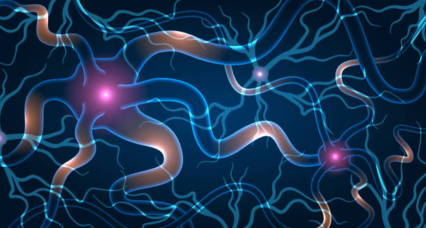 神經(jīng)干細(xì)胞移植效果如何？2025最新臨床進(jìn)展與患者案例深度解析