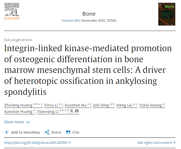 整合素連接激酶介導(dǎo)促進骨髓間充質(zhì)干細(xì)胞成骨分化：強直性脊柱炎異位骨化的驅(qū)動因素