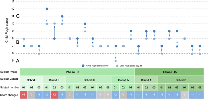 圖1：從基線到第28天，個人Child-Pugh評分的變化。