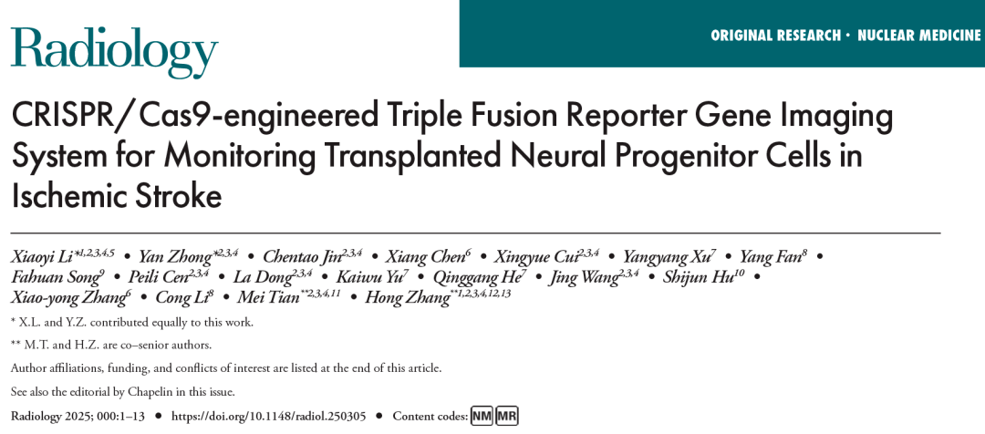 利用 CRISPR/Cas9 技術(shù)構(gòu)建的三融合報告基因成像系統(tǒng)監(jiān)測缺血性中風中移植的神經(jīng)祖細胞