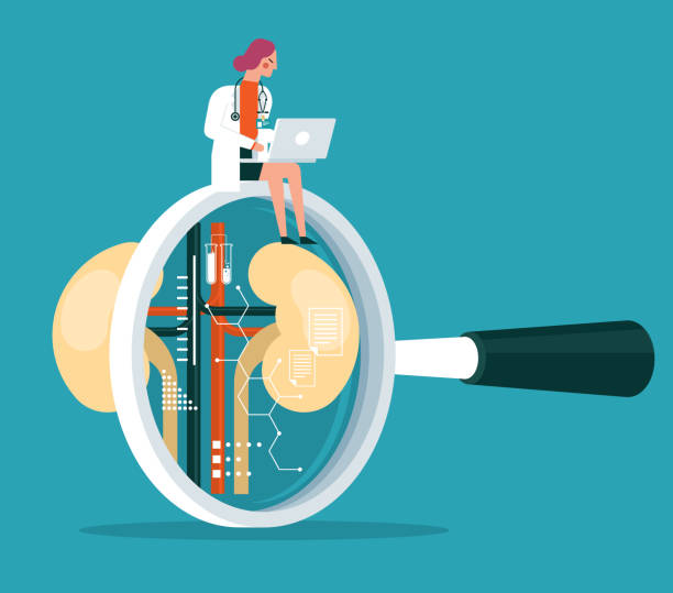 透析、腎移植還是干細胞治療？3種慢性腎病治療方法的全面比較與選擇指南