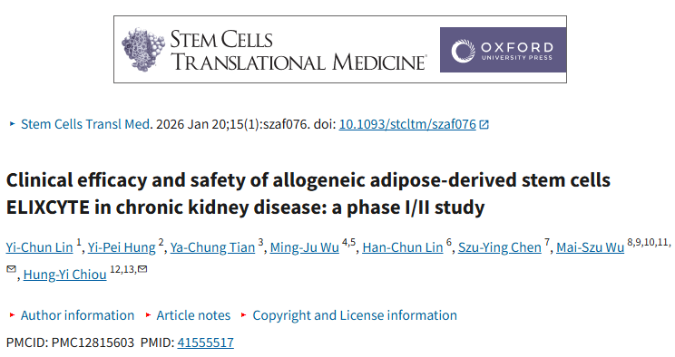 干細胞治療慢性腎病II期新數據：低劑量方案安全且能穩定改善腎功能